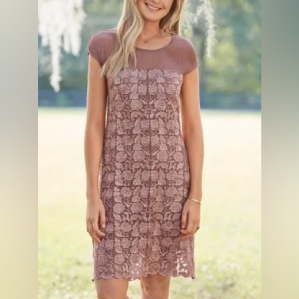 Sundance mauve embroidered lace floral chiffon shift dress above the knee